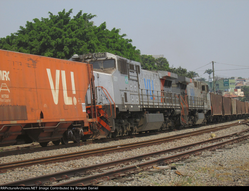 VLI 6031